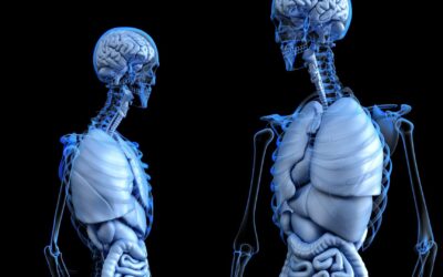 Radiomics: Decision Support Leveraging AI and Analytics
