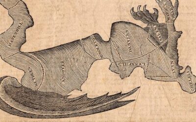 What Gerrymandering Teaches Us About Population Health