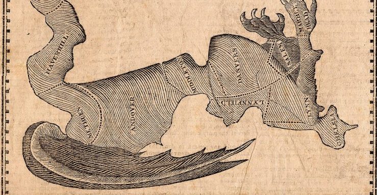 What Gerrymandering Teaches Us About Population Health